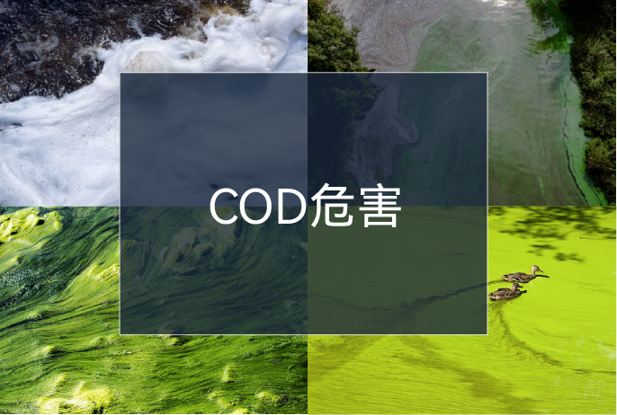 20230609131806_90246 Öйú9091ÃÀ¸ß÷(¹É·Ý)ÓÐÏÞ¹«Ë¾-¹Ù·½ÍøÕ¾